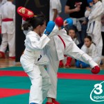 Vienna Open Karate Meisterschaft 2024