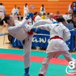 Vienna Open Karate Meisterschaft 2024