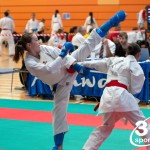 Vienna Open Karate Meisterschaft 2024