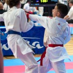 Vienna Open Karate Meisterschaft 2024