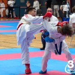 Vienna Open Karate Meisterschaft 2024