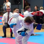 Vienna Open Karate Meisterschaft 2024