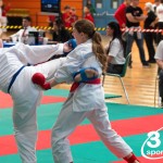 Vienna Open Karate Meisterschaft 2024