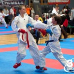 Vienna Open Karate Meisterschaft 2024