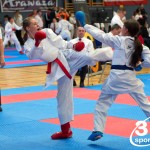 Vienna Open Karate Meisterschaft 2024