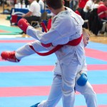 Vienna Open Karate Meisterschaft 2024