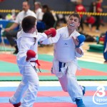 Vienna Open Karate Meisterschaft 2024