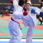 Vienna Open Karate Meisterschaft 2024