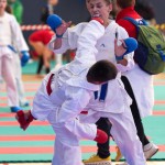 Vienna Open Karate Meisterschaft 2024