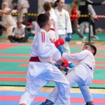 Vienna Open Karate Meisterschaft 2024