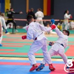 Vienna Open Karate Meisterschaft 2024