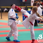 Vienna Open Karate Meisterschaft 2024