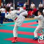 Vienna Open Karate Meisterschaft 2024