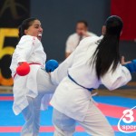 Vienna Open Karate Meisterschaft 2024