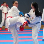 Vienna Open Karate Meisterschaft 2024