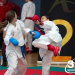 Vienna Open Karate Meisterschaft 2024