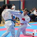 Vienna Open Karate Meisterschaft 2024