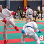 Vienna Open Karate Meisterschaft 2024