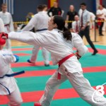 Vienna Open Karate Meisterschaft 2024