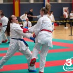 Vienna Open Karate Meisterschaft 2024