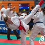 Vienna Open Karate Meisterschaft 2024