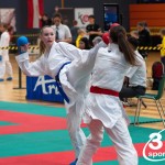 Vienna Open Karate Meisterschaft 2024