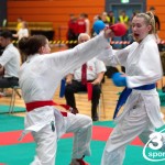 Vienna Open Karate Meisterschaft 2024