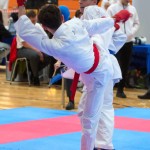 Vienna Open Karate Meisterschaft 2024