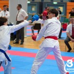 Vienna Open Karate Meisterschaft 2024