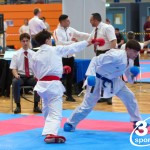 Vienna Open Karate Meisterschaft 2024