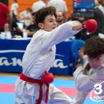 Vienna Open Karate Meisterschaft 2024