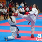 Vienna Open Karate Meisterschaft 2024