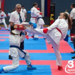 Vienna Open Karate Meisterschaft 2024