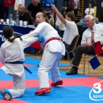 Vienna Open Karate Meisterschaft 2024