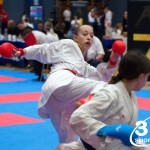 Vienna Open Karate Meisterschaft 2024