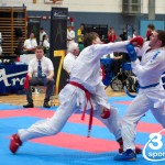 Vienna Open Karate Meisterschaft 2024