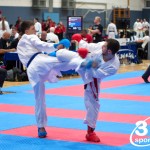 Vienna Open Karate Meisterschaft 2024