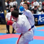 Vienna Open Karate Meisterschaft 2024