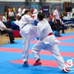 Vienna Open Karate Meisterschaft 2024