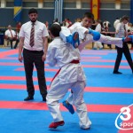 Vienna Open Karate Meisterschaft 2024