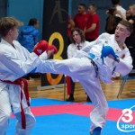 Vienna Open Karate Meisterschaft 2024