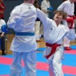 Vienna Open Karate Meisterschaft 2024