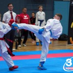 Vienna Open Karate Meisterschaft 2024