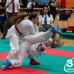 Vienna Open Karate Meisterschaft 2024