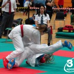 Vienna Open Karate Meisterschaft 2024