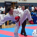 Vienna Open Karate Meisterschaft 2024