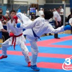 Vienna Open Karate Meisterschaft 2024