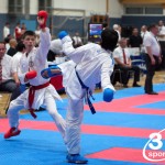 Vienna Open Karate Meisterschaft 2024