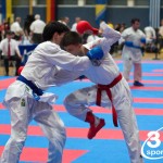 Vienna Open Karate Meisterschaft 2024