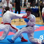 Vienna Open Karate Meisterschaft 2024